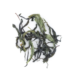 Thé vert français du Roussillon Bio - Le Marin 20g