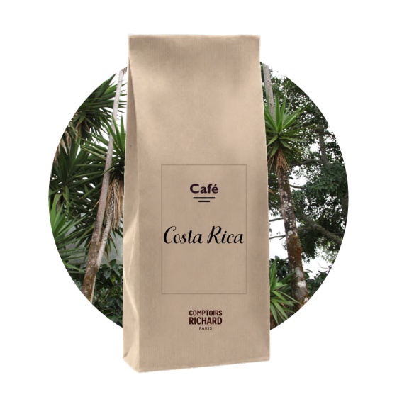 Café Costa Rica Terroir Saints 250g - Comptoirs Richard