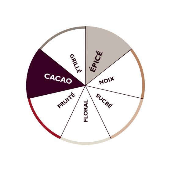 Café Costa Rica Terroir Saints 250g - Comptoirs Richard