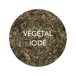 Thé vert vitalité bio 100g