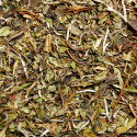 Thé blanc de Chine Pivoine Blanche (Bai Mu Dan)