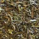 Thé Darjeeling de printemps Makaibari 2019