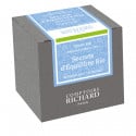 Tisane Secrets d'Equilibre Bio sachets voile x40